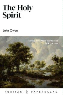 Cover image for Owen's book 'The Holy Spirit'