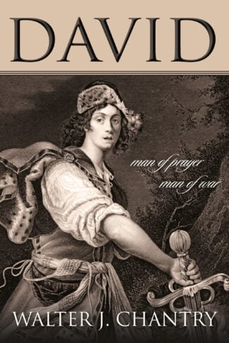 Illustration of David, a biblical prophet, symbolising faith, prayer, and spiritual strength for Christian readers.