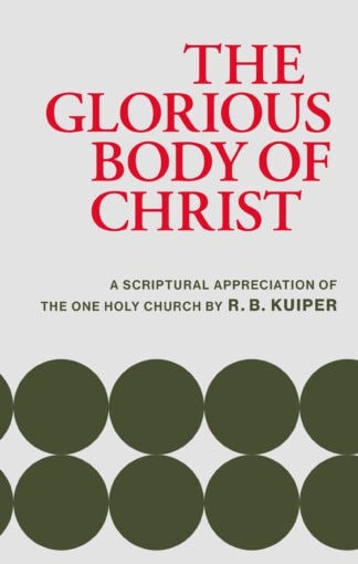 A Christian book cover highlighting the biblical depiction of Christ's glorious body, emphasizing scripture-based Christian teachings and themes relevant to the Banner of Truth UK.