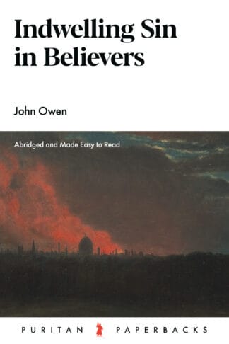 Thought-provoking Christian book on sin and believers' spiritual growth, published by Banner of Truth UK.