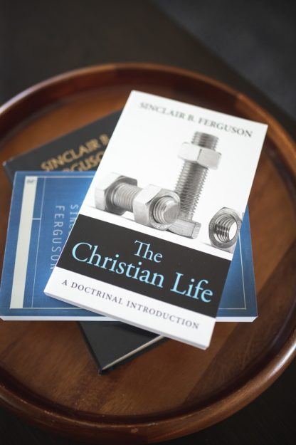 image of The Christian Life by Sinclair Ferguson