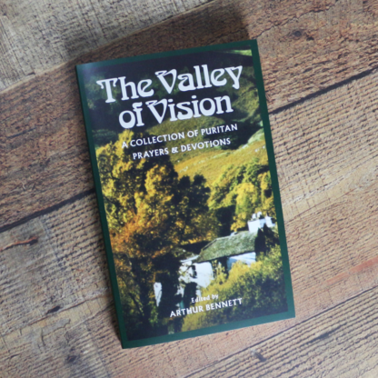 front cover of the paperback Valley of Vision