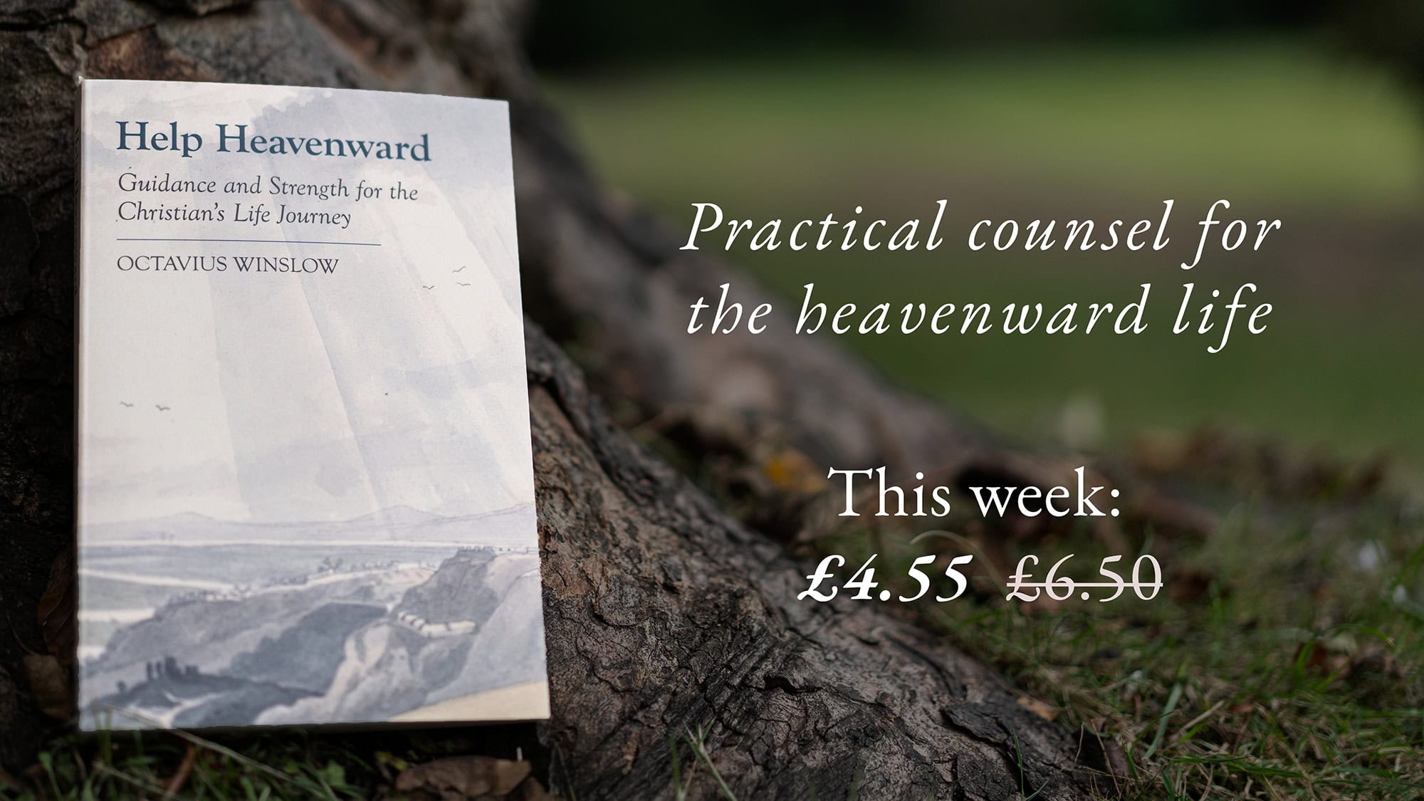 Winslow's 'Help Heavenward' nestled against a tree trunk.