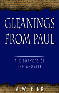 Gleanings From Paul