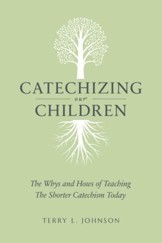 Educational book on teaching children core doctrines of the Christian faith, focusing on effective catechism methods for families and churches.