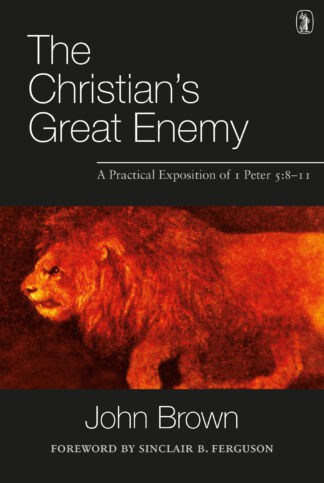 Evangelical Christian book about spiritual warfare, Christian faith, and biblical teaching.