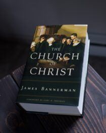 image of the book 'The Church of Christ' by James Bannerman