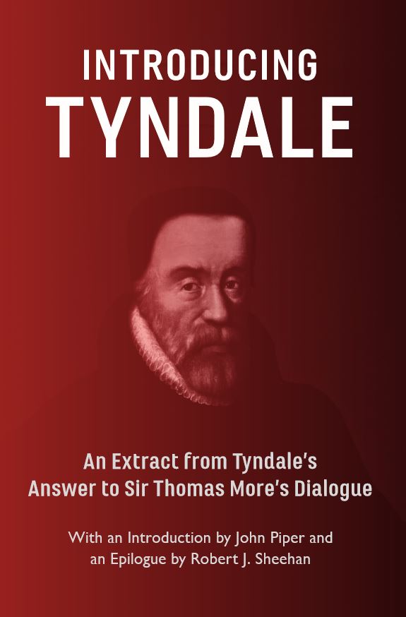 cover image for Introducing William Tyndale