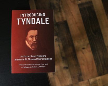 image of the book 'Introducing Tyndale'