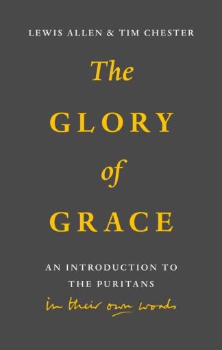 English Christian book cover about gospel and divine grace, featuring authors Lewis Allen & Tim Chester. Focuses on biblical truths, spiritual growth, and Christ-centred teachings, ideal for faith and theology readers.