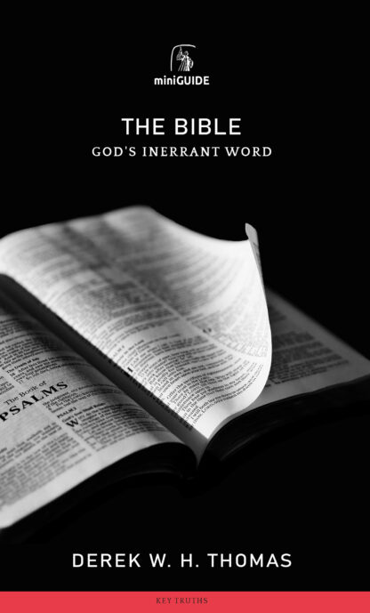 image of the 'The Bible' mini-guide