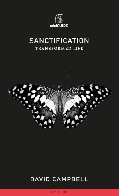 image of the book Sanctification Mini Guide