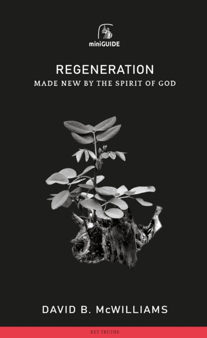 image of the Regeneration Mini Guide