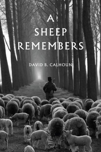 A Sheep Remembers