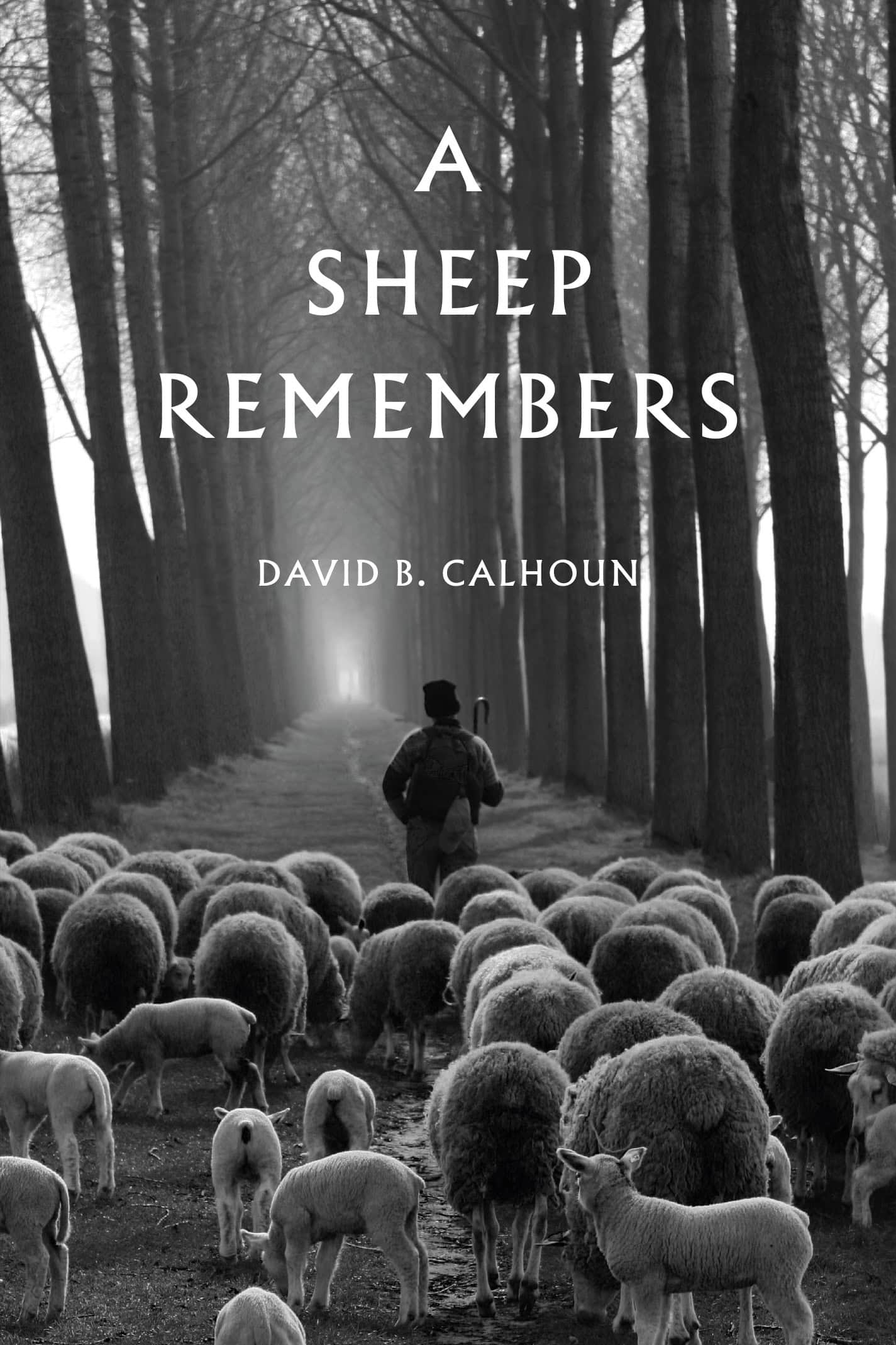 A Sheep Remembers