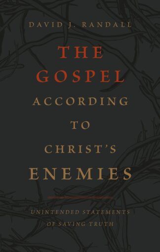 image of The Gospel According To Christ's Enemies