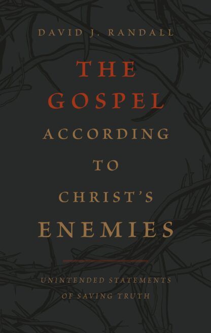 image of The Gospel According To Christ's Enemies