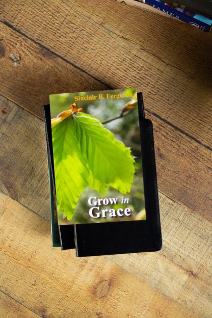 Image of the book "grow in grace"
