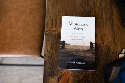 image of the book 'Mysterious Ways' by David Kingdon