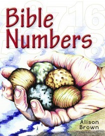 Book Cover For Bible Numbers