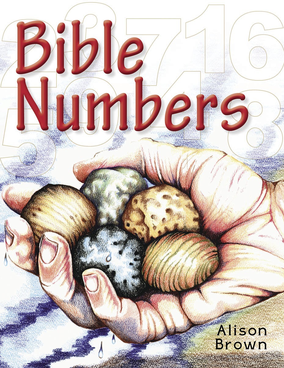 Book Cover For Bible Numbers
