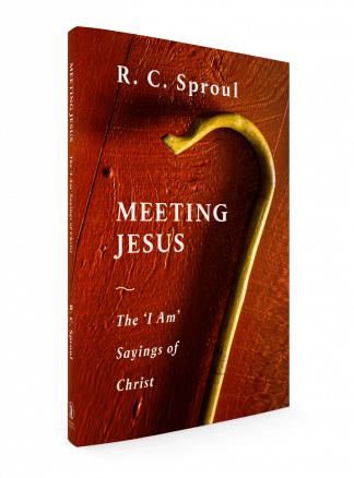 3D image of Meeting Jesus by R.C. Sproul