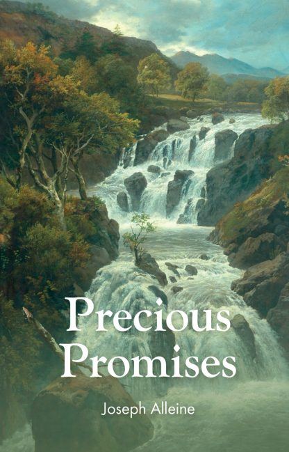image of the booklet 'precious promises'