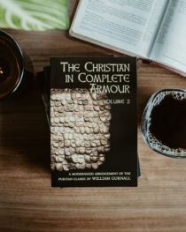 The Christian in Complete Armour, Volume 2 (Abridged) by William Gurnall