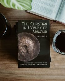 The Christian in Complete Armour, Volume 3 (Abridged) by William Gurnall