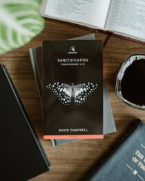 Sanctification Mini-Guide by David Campbell