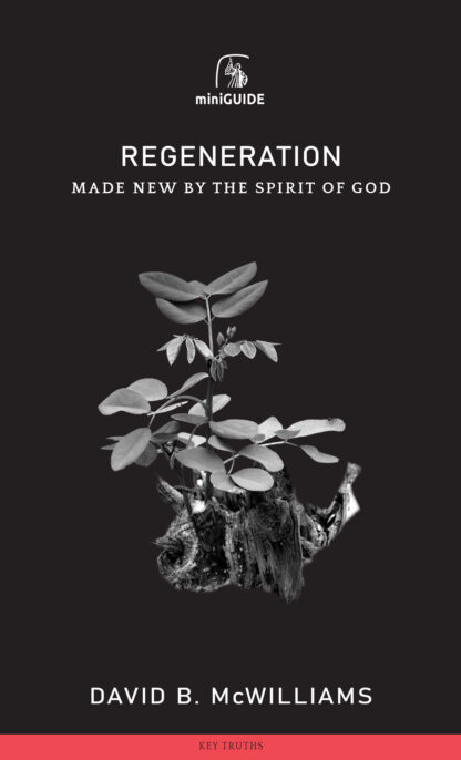 Regeneration Mini-Guide by David McWilliams