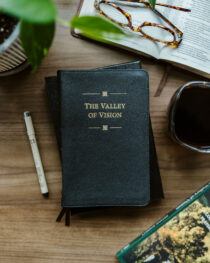 The Valley of Vision, Premium Goatskin Edition