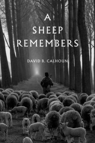 A Sheep Remembers by David Calhoun