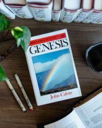Genesis Commentary by John Calvin