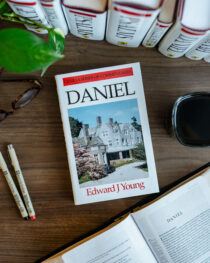 Daniel Commentary by Edward J Young