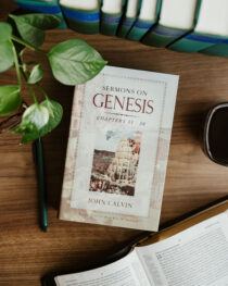 Sermons on Genesis 11-20 by John Calvin