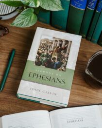 Sermons on Ephesians by John Calvin