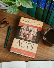 Sermons on Acts by John Calvin