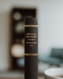 Biblical Theology by Geerhardus Vos