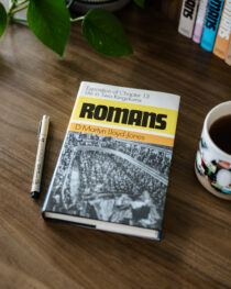 Romans by Martyn Lloyd-Jones (volume 13 shown)